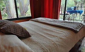 Suite Y Loft Casa Toria
